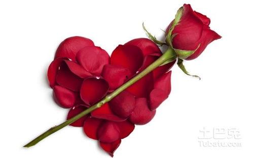 红玫瑰视频,激情燃烧的岁月，一段刻骨铭心的爱情传奇