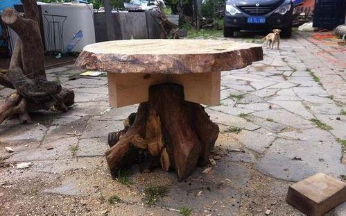 树瘤打磨视频,传统技艺与现代美学的完美融合