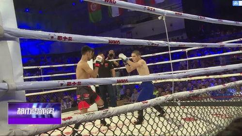 mma综合格斗视频中国,崛起之路与精彩瞬间