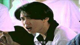 H男男视频,揭秘网络红人的魅力与争议