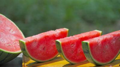西瓜的视频